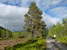 Po horskú osadu Bergviksetra je lesná cesta v luxusnom stave