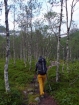 Túru na Stetind začíname chodníkom cez malebný severský lesík