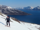 Ťapkanica parádnym firníkom s modrým fjordom v pozadí je čistá radosť (fotil Richard Tomik starší, ďalej skrátene Rišo)