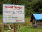 Po štyroch hodinách džungľového pekla prichádzame do Dobanu, ktorý podľa tabule sľubuje turistický kemp a hotely