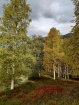 Farebná jeseň už zavítala aj do tejto časti romsdalských hôr