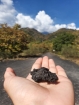 Celý masív Etny je pokrytý starou lávovitou horninou