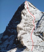Eiger (3970 m) - Z stena (Traynard S4+, E2+, 35-45°, prevýšenie z vrcholu na Eigergletscher 1650 m, červený stredne ťažký) - zdroj pre zákres: snowbroader.eu