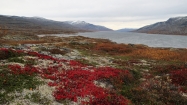 Okolie Aursjoen hýri všetkými možnými jesennými farbami