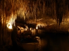 V jaskyni fidliká živý orchester na loďkách, ktorými sa návštevníci môžu následne previezť po podzemnom jazere - komercia jak sviňa, ale musíme priznať, že celá táto inscenácia mala svoje nezameniteľné čaro