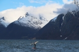 Nadšenci vodných športov si v Hjorundfjorde prídu na svoje aj v zime