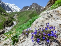 Jar v Iráne