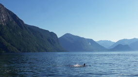Regeneračný fjord